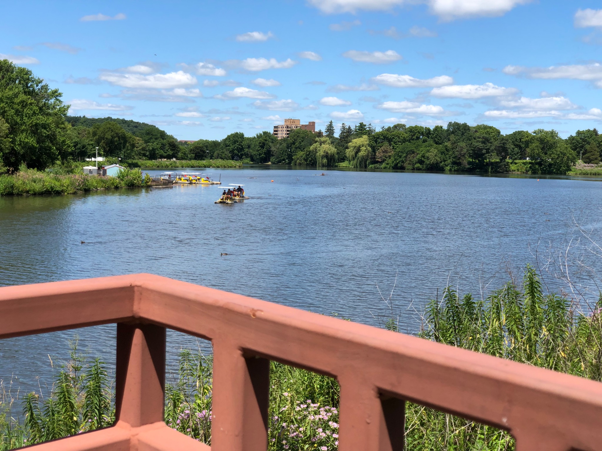 Kutsky Park